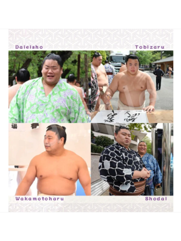 Sumo Biyori 2027 Japanese Sumo Wrestler Desk Calendar