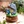 Load image into Gallery viewer, My Neighbor Totoro Ceramic Music Box

