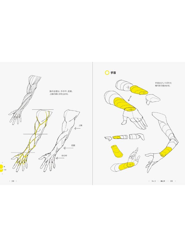 TACO's Human Figure Drawing Guide 390 Tips