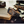 Load image into Gallery viewer, GARRACK Attack on Titan Erwin Smith Automatic Watch SMS-47-SK-ES
