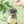 Load image into Gallery viewer, My Neighbor Totoro Clip Holder Umbrella Totoro
