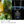 Load image into Gallery viewer, Ninja Stealth iQ Blender QX201J Smart High-Speed Blender
