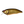 Load image into Gallery viewer, Megabass I×I FURIOUS 0.5 Shallow Diving Lure High Speed Crankbait Fishing Lure
