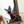 Load image into Gallery viewer, Kiki’s Delivery Service Jiji Stand Mirror Window of Reflection
