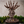 Load image into Gallery viewer, Princess Mononoke Forest Spirit Accessory Tray Jewelry Holder
