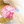 Load image into Gallery viewer, Idol Horse Friends Agera Gyaru S Size Plush Mascot with a ball chain
