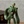 Load image into Gallery viewer, Castle in the Sky Robot Soldier Music Box Laputa Figure Ornament
