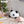 Load image into Gallery viewer, Panda Kopanda Pan-chan Funbaruzu Plush
