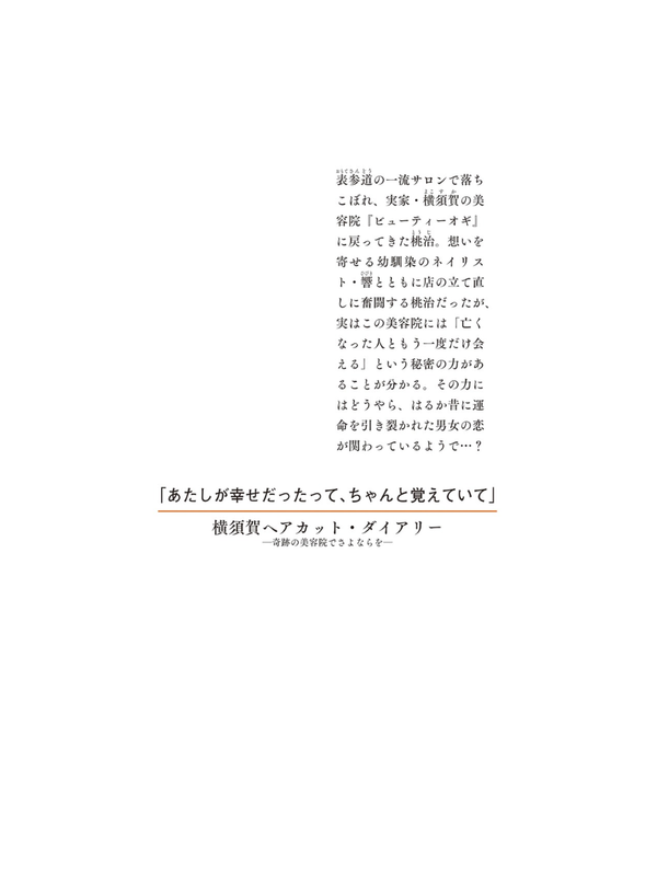 Yokosuka Haircut Diary: Sayonara at the Miraculous Hair Salon Japanese Novel