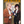 Load image into Gallery viewer, Asura no Sata Vol. 4 Japanese Manga Book
