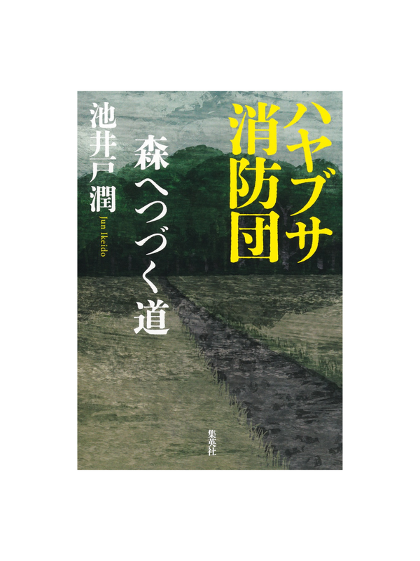 Hayabusa Fire Brigade: The Road to the Forest Japanese Novel by Jun Ikeido