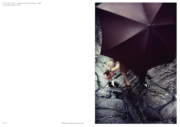 Saul Leiter: All About Saul Leiter Japanese Photography Art Book