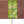 Load image into Gallery viewer, Hobonichi Techo 2026 MOTHER “Kurukuru Pedal” Leather Planner Cover A5
