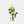 Load image into Gallery viewer, Super Mario Cat Luigi Mascot Plush with Ball Chain
