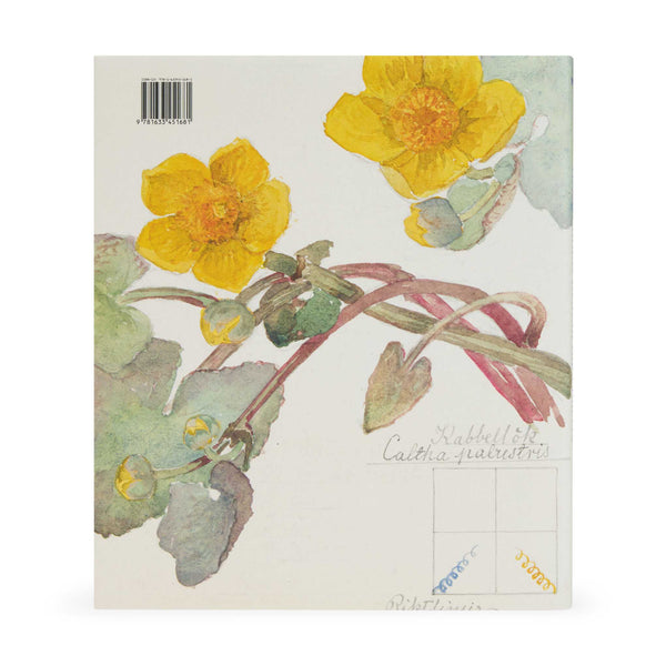 MoMA Hilma af Klint What Stands Behind the Flowers Hardcover Book