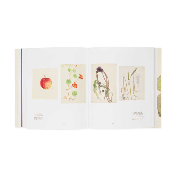 MoMA Hilma af Klint What Stands Behind the Flowers Hardcover Book