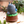 Load image into Gallery viewer, My Neighbor Totoro Ceramic Music Box
