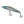 Load image into Gallery viewer, DAIWA Saltiga Rough Ride 160F Hiramasa Tune
