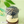 Load image into Gallery viewer, My Neighbor Totoro Clip Holder Umbrella Totoro
