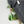 Load image into Gallery viewer, Howl’s Moving Castle Outdoor Products Collaboration Daypack
