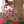 Load image into Gallery viewer, studio CLIP Christmas 2026 Rotating Santa Carousel Decoration
