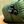 Load image into Gallery viewer, My Neighbor Totoro Acorn Shaker Keychain
