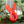 Load image into Gallery viewer, Arrietty Hair Clip Clothespin – The Secret World of Arrietty Inspired
