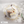 Load image into Gallery viewer, Kiki's Delivery Service Flower Bouquet Glass Plate
