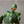 Load image into Gallery viewer, Castle in the Sky Robot Soldier Music Box Laputa Figure Ornament
