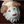 Load image into Gallery viewer, Howl’s Moving Castle Hin Dog Plush Mop
