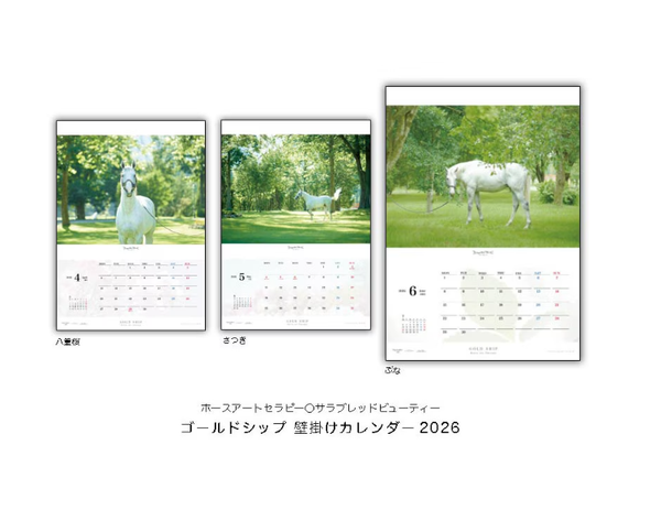 Gold Ship 2026 Wall Calendar A2