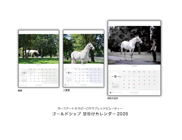 Gold Ship 2026 Wall Calendar A2