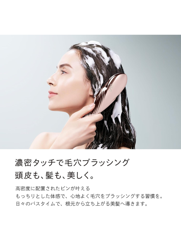 ReFa ION CARE BRUSH PREMIUM