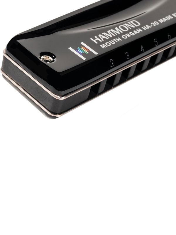 HAMMOND HA-20 10-Hole Diatonic Harmonica