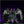 Load image into Gallery viewer, Monster Hunter Gore Magala Soft Vinyl Model Figure [Pre-order]
