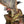 Load image into Gallery viewer, Capcom Figure Builder Creators Model Seregios Monster Hunter [Pre-order]
