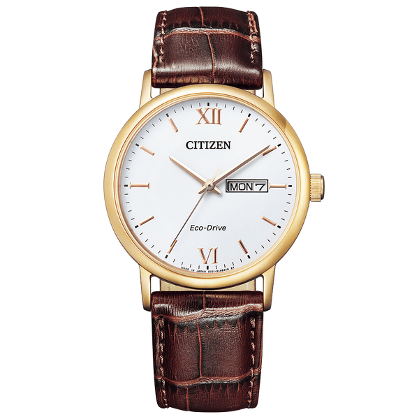 Citizen Collection Eco-Drive BM9012-02A Solar Watch