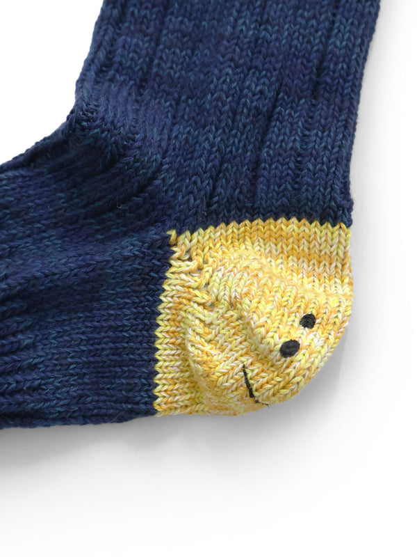 Kapital 60-pack IVY RAINBOWY HAPPY HEEL Hold Socks