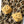 Load image into Gallery viewer, Kapital 84-ply RAINBOWY HAPPY HEEL Leopard Print Socks
