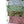 Load image into Gallery viewer, Kapital 18.5/- Jersey Bandana HUGE-T (COOKIE) Tee
