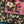 Load image into Gallery viewer, Kapital Color Bandana (NADESHIKO CHAMPETRE)
