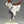 Load image into Gallery viewer, Uma Musume Pretty Derby Agnes Tachyon 1/7 Scale Figure

