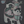 Load image into Gallery viewer, UNIQLO Ukiyo-e Animals UT T-Shirt
