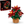 Load image into Gallery viewer, LEGO Botanical Poinsettia Decorative Plant Set
