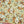 Load image into Gallery viewer, Kapital Rayon Fringe Stole (Nadeshiko Champetre) Scarves
