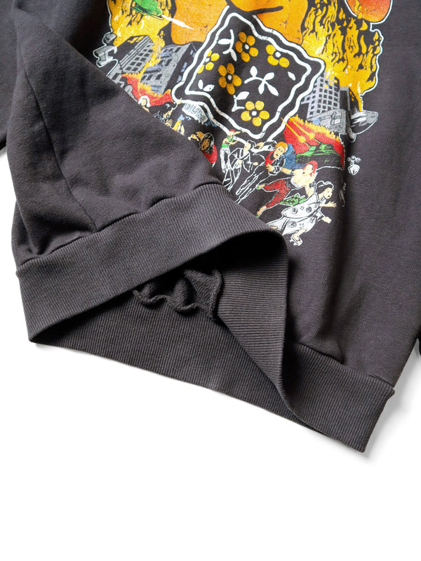 Kapital fleece hooded sweatshirt (BUSTER PECKISH RAINBOW Ypt) sweater