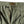 Load image into Gallery viewer, Kapital Herringbone Fatigue Baggy Pants (Rushfield Remake)
