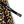 Load image into Gallery viewer, Kapital Combed Burberry Leopard Print Easy Short Pants
