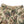 Load image into Gallery viewer, Kapital Gobelin Kome Kome Jotz L Short Pants women

