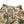 Load image into Gallery viewer, Kapital Gobelin Kome Kome Jotz L Short Pants women
